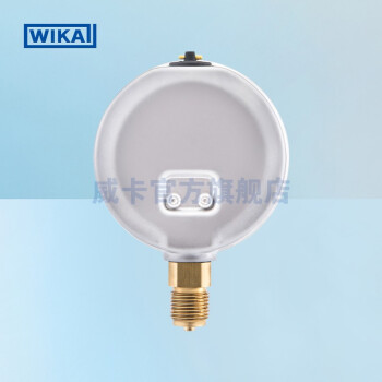 威卡（WIKA）213.53.100 黄铜波登管压力表 径向安装