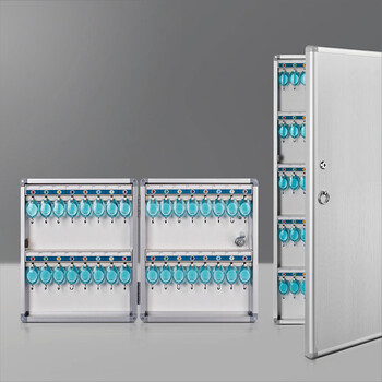 飞尔（FLYER）钥匙箱钥匙牌 安全器具铝合金收纳箱壁挂钥匙箱【B8112 钥匙牌彩色36个】