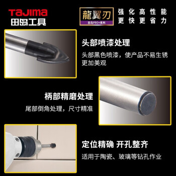 田岛（TAJIMA）XH-TCZ-6 龙翼刃合金三角钻陶瓷玻璃混凝土水泥打孔钻头5支装 6mm 1602-2731