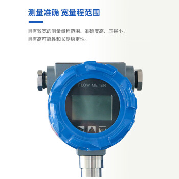 迅尔仪表(SURE)LUGBM-2系列普通型涡街流量计 DN25 普通型法兰连接 15天