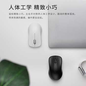 雷柏（Rapoo） 1680 无线鼠标 办公鼠标 轻音鼠标 便携鼠标 对称鼠标 笔记本鼠标 电脑鼠标 商务鼠标 黑色