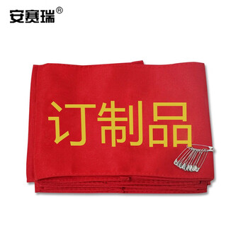 安赛瑞 袖标 定制志愿者组长刺绣款颜色醒目 宽14cm长21cm斜纹布面料红底黄字10个 10816