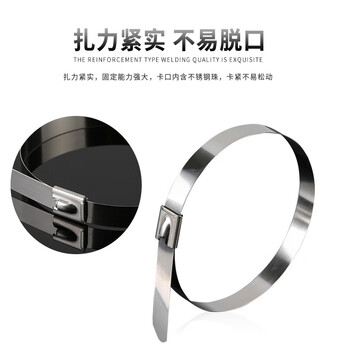 飞尔（FLYER）201不锈钢扎带 白钢滚珠自锁式金属箍扎带 100根/包【12×500MM】