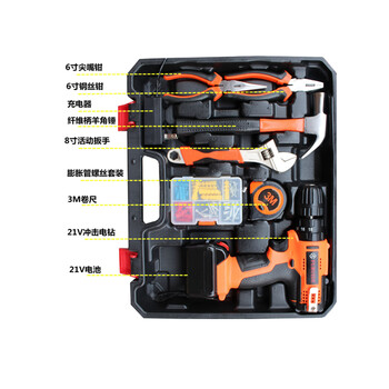 飞尔 手动工具套装 工具箱套装组合【21V单电池冲击电钻(102件塑盒套装)】