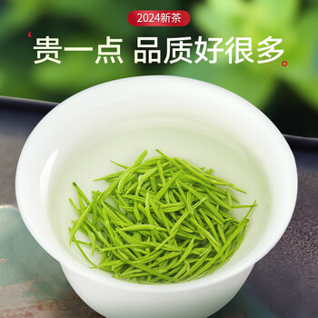 乐品乐茶绿茶毛尖茶叶特级250g  2024新茶明前春茶嫩芽自己喝礼盒装