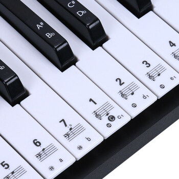 54键儿童成人钢琴电电子琴键盘贴纸透明贴五线谱简谱自学54键配黑键贴