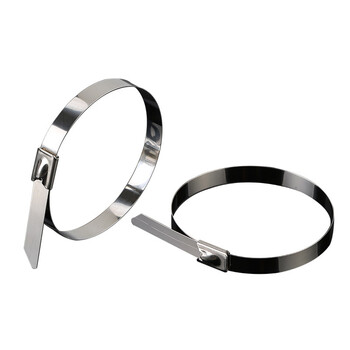 飞尔（FLYER） 304不锈钢自锁扎带500×7.9mm 100根 耐腐蚀耐高低温【FL003Z】