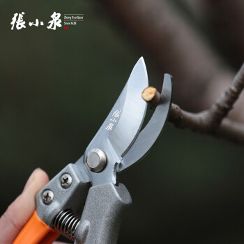 张小泉 秋韵系列多功能整枝剪200mm 园艺剪刀 花枝剪 果树剪ZH-306