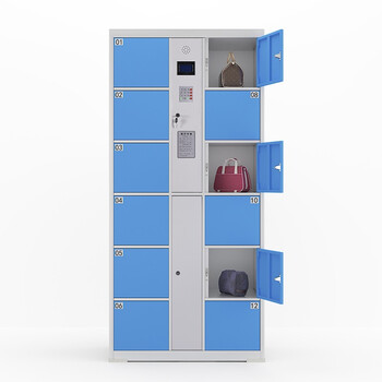 知旦 12门密码存储柜 工厂单位智能自助电子存包柜寄存柜储物柜 CB-12M