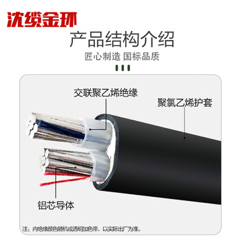 沈缆金环 ZR-YJLV-0.6/1KV-2*35mm² 国标铝芯阻燃电力电缆 1米