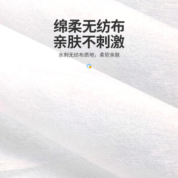 喜波大包装湿巾 清洁去污 100抽/盒
