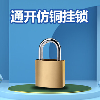 飞尔(FLYER)通开仿铜挂锁【25mm 通开 10把】