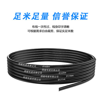 国超电缆YJLV-0.6/1KV-4*70铝芯国标架空户外4芯电力电缆 1米【现货】