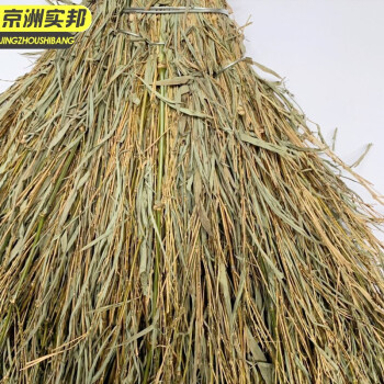  京洲实邦【竹竿扫把】竹扫把大扫帚竹子马路扫庭院子笤帚工厂农村竹扫帚大扫把JZSB-8040
