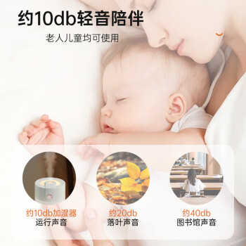 海纳斯（HANASS）加湿器 迷你小巧小型轻音加湿伴侣 空调房家用办公室桌面 上加水 USB插电便携车载 MYX-109