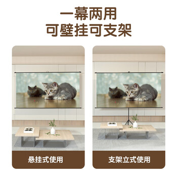 得力（deli）100英寸16:9投影幕布悬挂支架两用投影仪幕布 幕布家用 户外便携 白玻纤4K高清投影适用坚果 极米