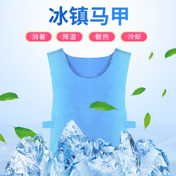 者也（ZYE）冰镇马甲消暑降温散热亲肤舒适可循环利用背心 冰镇马甲（浅蓝色） 