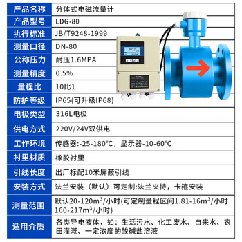 匡建仪表（CONJANT）LDG型分体式电磁流量计 液体污水高精度智能电子数显传感器 橡胶衬里DN80