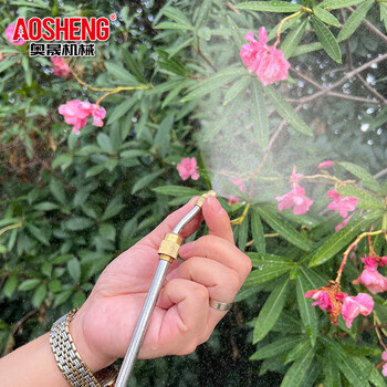 奥晟机械（AOSHENG）12升电动喷雾器酒精消毒农用品农药喷雾机打药壶园艺浇花喷壶锂电背负式打药机12L