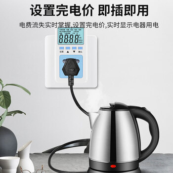 保拉(Paola) 数显电力监测仪10A 功率计量插座精密型用电功耗测量仪T10