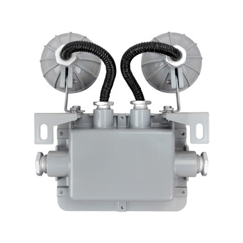 通明电器 TORMIN TM-ZFZD-E6W-BC5200 2×3W 消防应急照明灯具 255×243×110mm