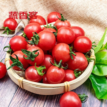 蔬香客 圣女果 当日采摘快递直达番茄迷彩新鲜水果西红柿 圣女果5斤装