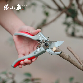 张小泉 园林剪210mm 修枝剪 剪枝剪 果树剪 园艺剪园艺工具ZH-302