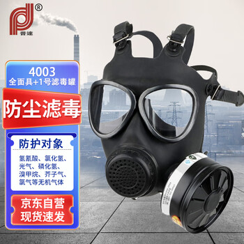 普达 防毒面具生化 MJ-4003全面罩配P-B-2（1号）滤毒罐 自吸过滤式防无机气体氯 工业化工