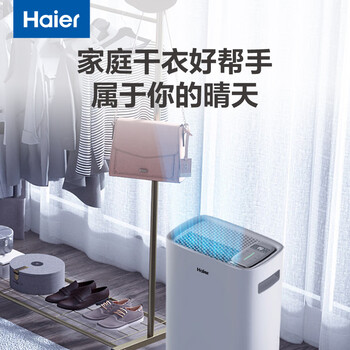 海尔（Haier）除湿机/抽湿机 京东小家智能生态 除湿量20升/天 家用除湿机轻音干衣除湿器 app智控 CF20-PK1