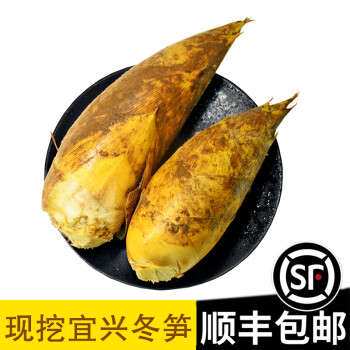 fghgh顺丰发货中现挖新鲜冬笋宜兴小冬笋高山笋竹笋时令蔬菜3斤