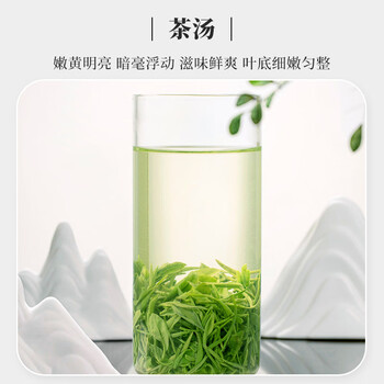 文新绿茶高山信阳毛尖一级250g2024年雨前礼盒装新茶上市