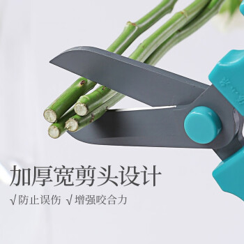 张小泉 春悦系列鲜花插花专用剪刀185mm 园艺工具 花艺剪刀绿萝剪绿植剪盆栽剪刀盆景S10630100