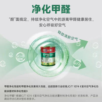 立邦抗甲醛净味五合一乳胶漆18L