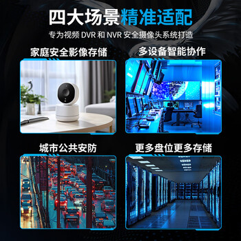 希捷（SEAGATE）安防硬盘 4TB 256MB SATA CMR垂直 机械硬盘 视频储存 数据恢复服务 希捷酷鹰 3.5英寸ST4000VX015