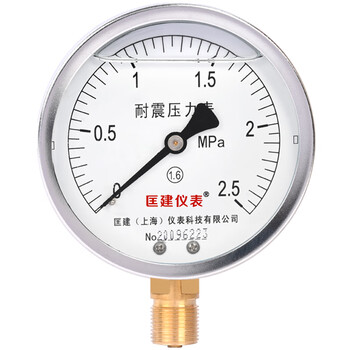 匡建仪表（CONJANT）YTN-100耐震压力表 径向0-2.5MPa 压表油压表气压表 表盘直径100mm