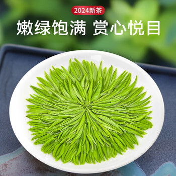 乐品乐茶绿茶毛尖茶叶特级250g  2024新茶明前春茶嫩芽自己喝礼盒装