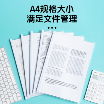 晨光(M&G)文具10个装A4/10mm透明抽杆夹拉杆夹文件夹 办公报告夹学生考试收纳 睿智系列资料整理收纳ADM92996