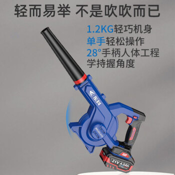 东科DGT2161-40升级款锂电吹风机 吸灰尘机 鼓风机21V(4.0基础一电一充）