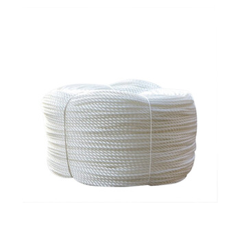 飞尔（FLYER）尼龙绳 耐磨晾衣绳 白色捆绑绳子【4mmx100m】