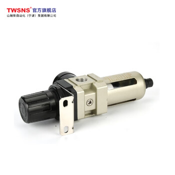 山耐斯（TWSNS） 气源处理器过滤器  AW3000-03