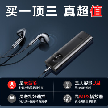 新科（Shinco）录音笔RV-18 32G大容量录音器 商务办公培训学习录音设备 黑色