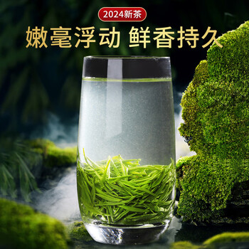 乐品乐茶绿茶毛尖茶叶特级250g 2024新茶明前礼盒装春茶嫩芽自己喝送礼
