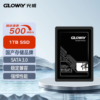 光威（Gloway）1TB SSD固态硬盘 SATA3.0接口 悍将系列 黑神话装机升级