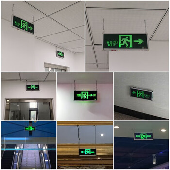 者也（ZYE）新国标应急灯消防安全出口指示灯消防LED照明灯疏散指示牌 单面左向