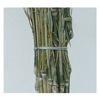 苏识 QJ0008 木杆把大扫把用环卫用竹扫把大扫帚 木杆把大扫把（4斤） 一把