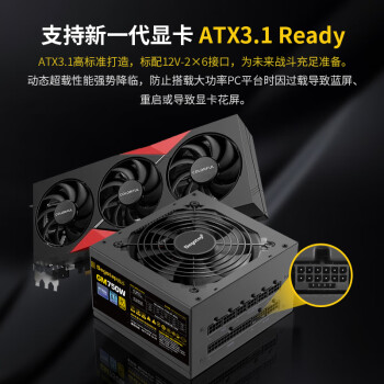 鑫谷（segotep）GM750W ATX3.1金牌全模组电源（12V-2X6支持5060Ti/5070Ti显卡/全电压宽幅/台式电脑主机箱电源）