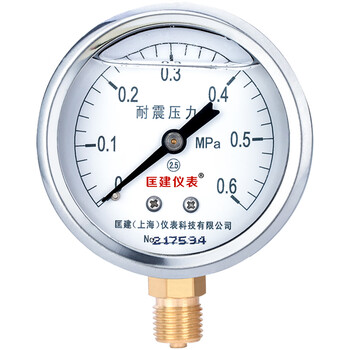匡建仪表（CONJANT）YTN-60 耐震压力表 0-0.6mpa充油抗震型测气压油压液压