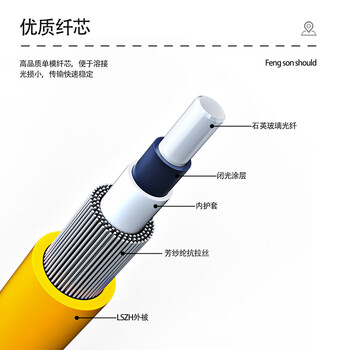 丰应子 单模单芯尾纤SC-FC光纤跳线3米 FYZ-GT67L