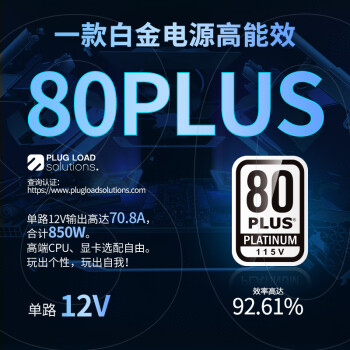 长城（Great Wall）额定850W F8白金牌全模组电源（ATX3.1标准/原生PCIe5.1接口/自动启停/全电压/闪电加速）