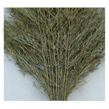 苏识 QJ0008 木杆把大扫把用环卫用竹扫把大扫帚 木杆把大扫把（4斤） 一把